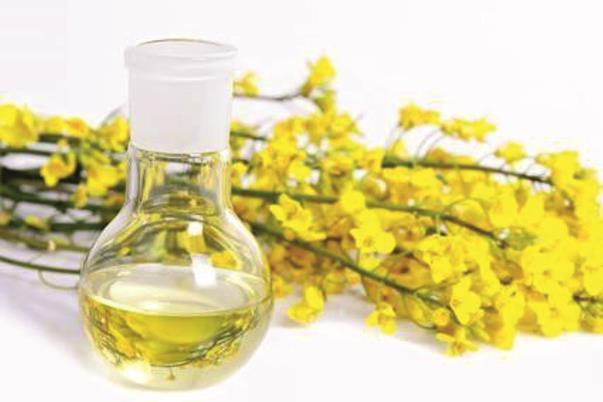 Najpowszechniej stosowanymi biopaliwami są biodiesel i bioetanol.