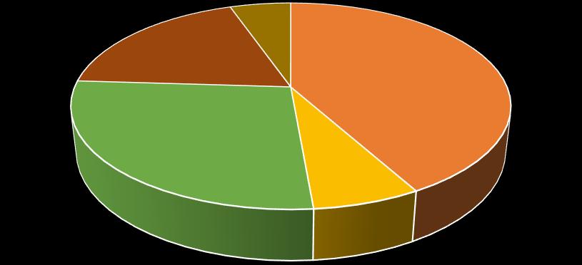 Wykres 20 Procentowy udział poszczególnych rodzajów paliw i energii w emisji całkowitej rok 2005.