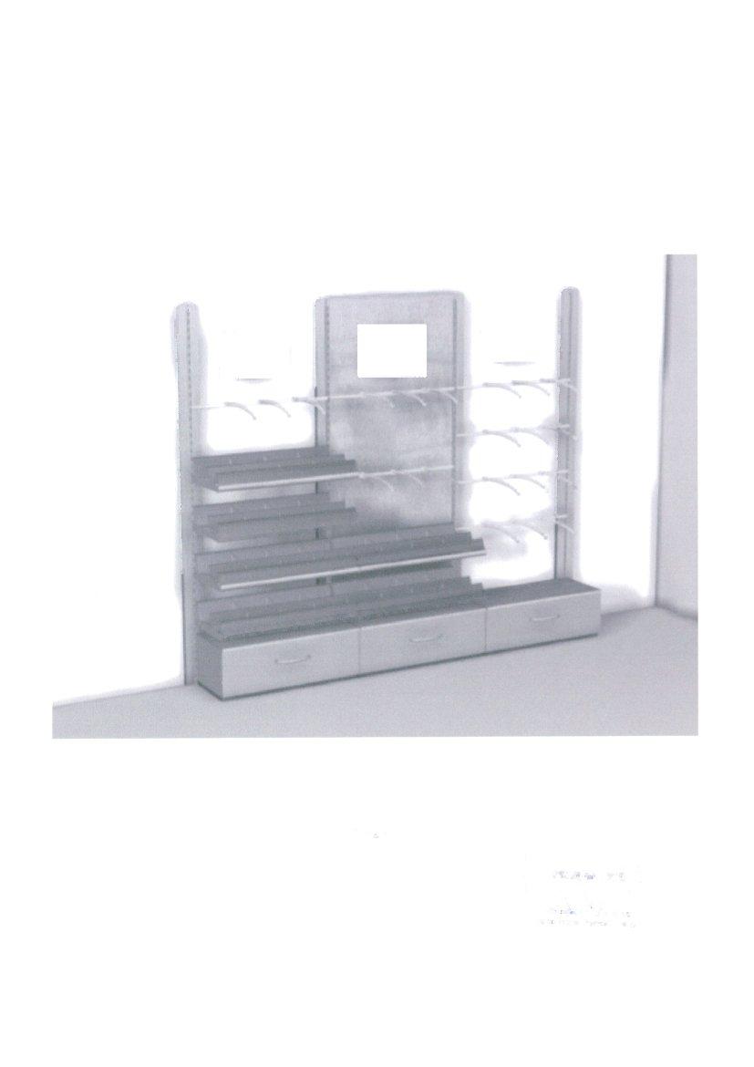 Fig.3