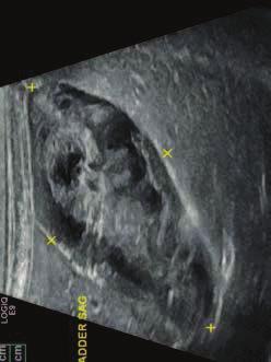 3.