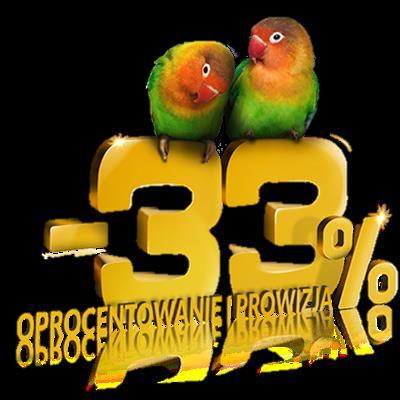 2018 Klienci wykonali 77 tys.