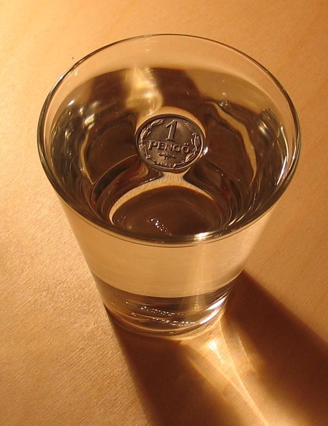 kapilary) i cząstek