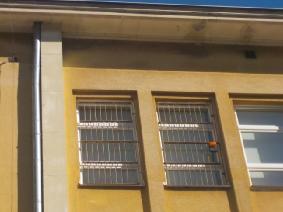 PCV dobry, okna drewniane w złym stanie