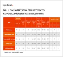 Trzecim co do wielkości kontynentem pod względem produkcji żywca króliczego jest Ameryka Łacińska, gdzie głównym producentem tego surowca jest Wenezuela (275000 ton).