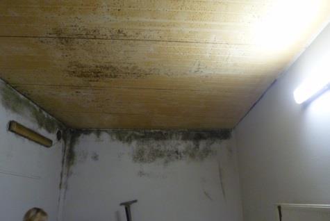 Przeprowadzono 91 kontroli sanitarnych, wydano 5 decyzji administracyjnych. Za stwierdzone uchybienia sanitarne nałożono 11 mandatów karnych na kwotę 1800,00 zł.