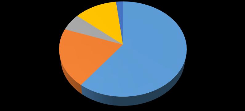 Zadanie w Projekcie 2017 FINANSE W roku 2017 Biuro Solidarności Wincentyńskiej wypłaciło $1,310,415 USD wspierając 49 projektów.