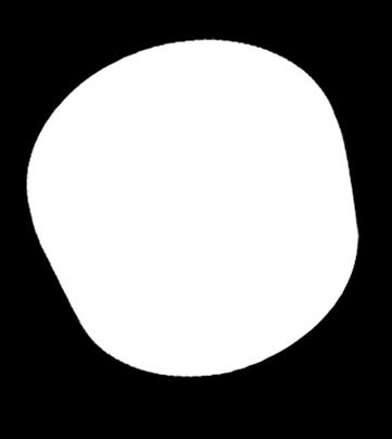Zakrętki