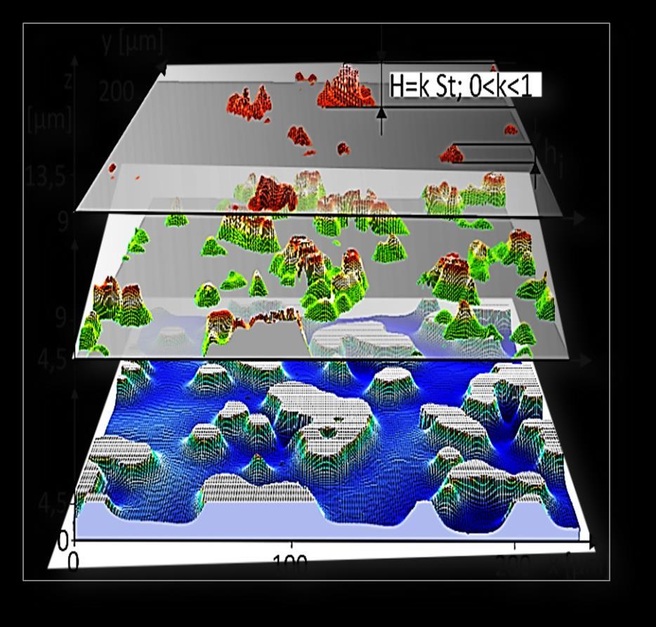 TOPOGRAFII