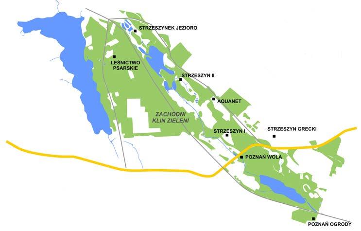 44 R. WĄSALA, Ł.