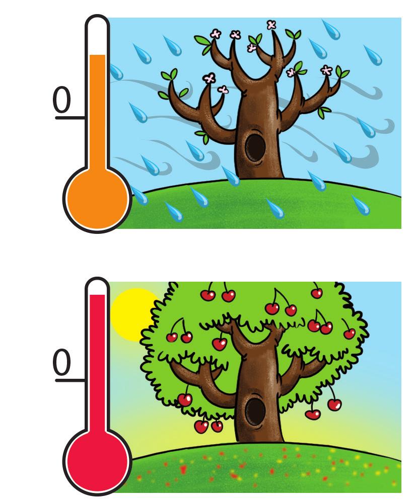 cloudy wet cold Summer hot sunny Vocabulary practice In your notebook, write four true or false sentences about the weather in Poland Work in pairs Read each other s sentences