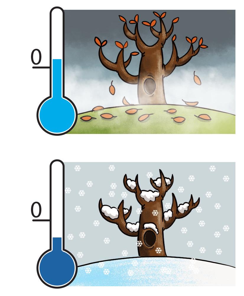 dialogues Point at the correct weather icons 08 Brainy_Uindd freezing snowy Work in pairs Play What's the weather like?