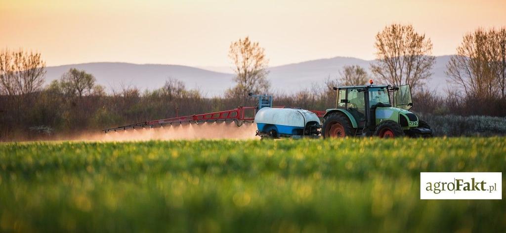 https://www. Opryski preparatami zawierającymi chlorotalonil i azoksystrombinę najlepiej zastosować w fazie liścia flagowego, choć można je przeprowadzać aż do okresu kłoszenia.