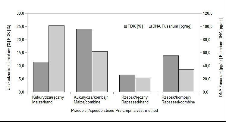 Uszkodzenie ziarniaków oraz zawartość DNA Fusarium w ziarnie pszenicy jarej Griwa w roku 2009 Zawartość deoksyniwalenolu (DON), niwalenolu (NIV) i zearalneonu (ZEA) w ziarnie pszenicy jarej Griwa w