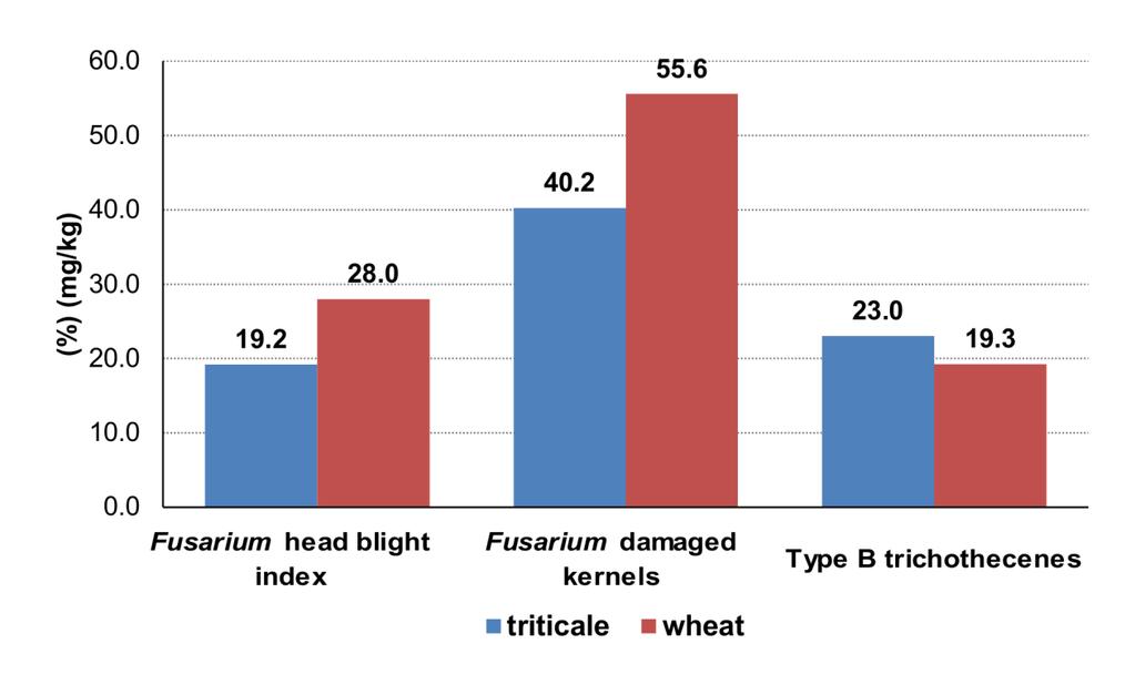 14) Góral T., Wiśniewska H., Ochodzki P., Walentyn-Góral D. 2016. Higher Fusarium toxins accumulation in grain of winter triticale lines inoculated with Fusarium culmorum as compared with wheat.