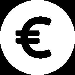 KURS EURO Średni kurs Euro ustalany jest na podstawie rozporządzenia Prezesa Rady Ministrów w sprawie średniego kursu złotego w stosunku do euro stanowiącego podstawę