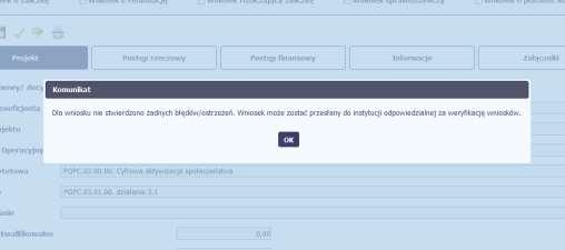 dodatkowy blok, tzw. Wynik walidacji, w którym precyzyjnie i w sposób uporządkowany przedstawi listę błędów w tabeli. Błędy są oznaczone kolorem czerwonym.