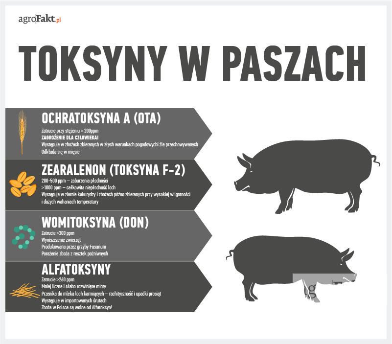 https://www. produkowana jest przez rodzaj grzyba Fusarium, a porażenie zboża następuje z resztek pożniwnych pozostałych na polu z poprzedniego roku.