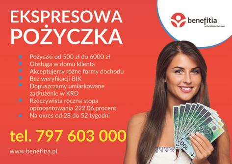 Konflikt w spisie relacji randkowych nastolatków (cadri wolfe i in. 2001)