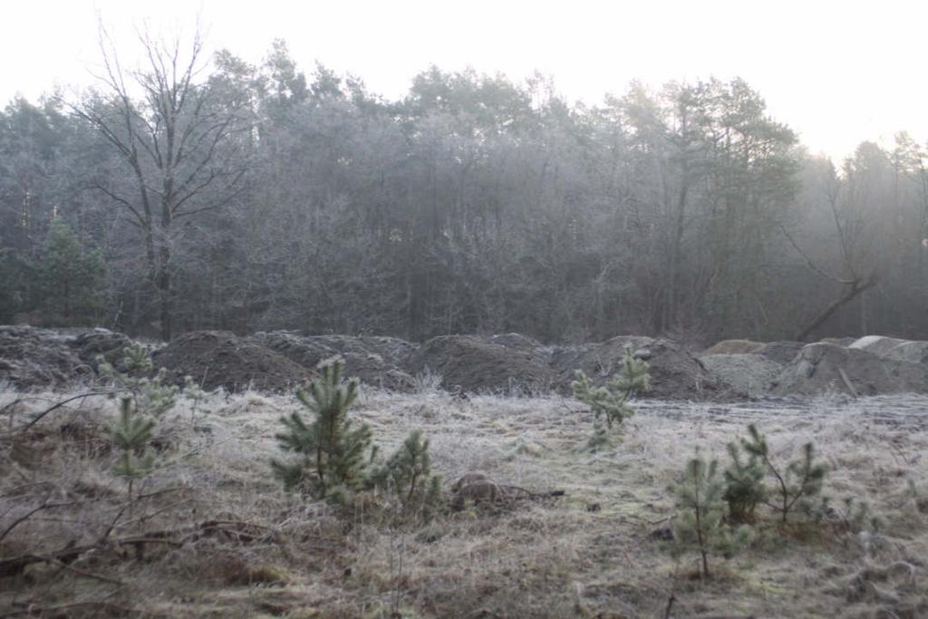 bezwzględnym egzekwowaniu przepisów uniemożliwiających powstawanie nowych miejsc niekorzystnych