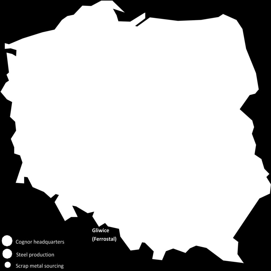 450 POZOSTAŁE 7 982 0 0 0 0 SPRZEDAŻ '000 PLN RAZEM 136 902 70 275 100 051 94 186 88 737 RAZEM ZAKUP (TONY) 823 087 803 232 722 683 713 276 633 514 RAZEM WYKORZYSTANIE