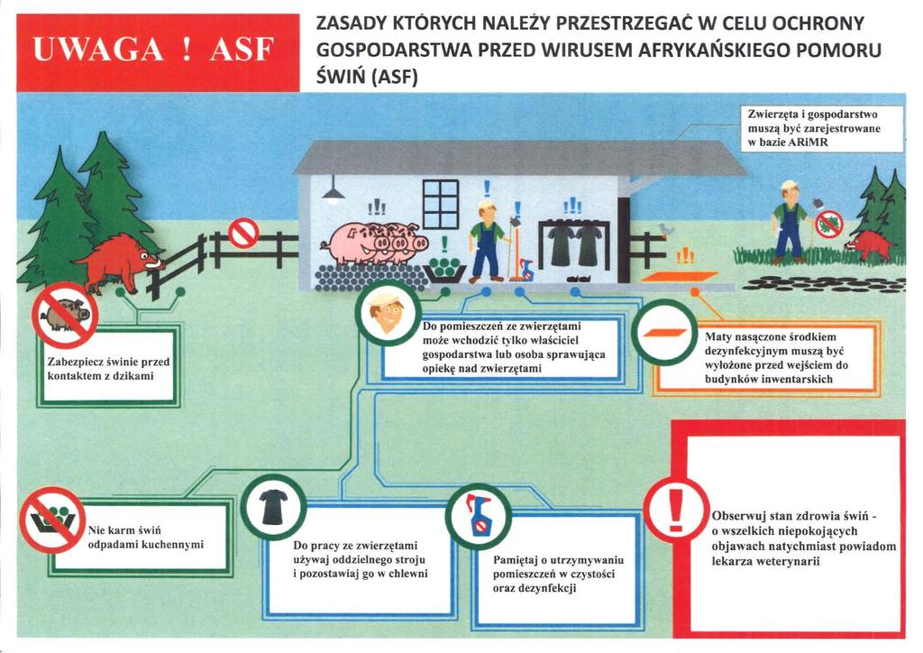 ZASADY KTÓRYCH NALEŻY PRZESTRZEGAĆ W CELU OCHRONY GOSPODARSTWA PRZED WIRUSEM AFRYKAŃSKIEGO POMORU ŚWIŃ (ASF) Zwierzęta i gospodarstwo muszą być zarejestrowane w bazie ARiMR!