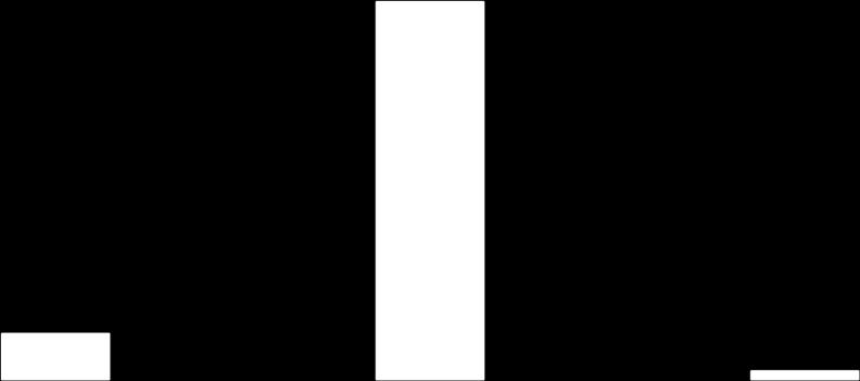 Rysunek 26.