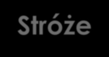 Aglomeracja Grybów - Stróże Utworzona w 2006 r.