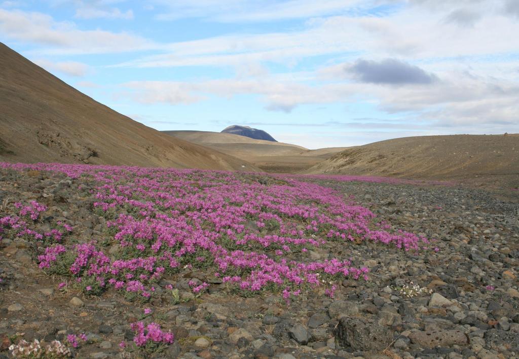 DZIEŃ SZÓSTY Hofn do Reykjaviku ok.