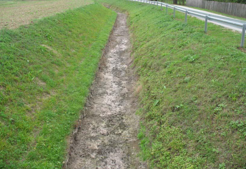 W zakresie elementów biologicznych w jednolitych częściach wód w powiecie dąbrowskim badano i klasyfikowano: fitobentos, makrofity, makrobezkręgowce bentosowe oraz ichtiofaunę,