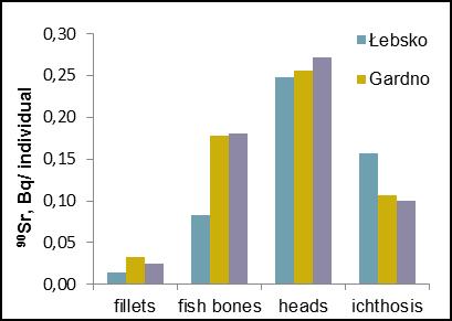 2% of the total 137 Cs is accumulated in fish fillets, while 1.1-7.5% in fish bones. The content of 90 Sr in fish fillets showed significant differences related to their preparation.