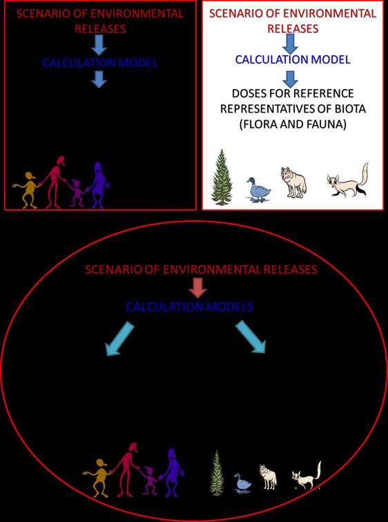 PRACTICAL EXAMPLES Carrying out dose calculations and assessments of result uncertainties for doses received by the human and biota population in the above scenarios.