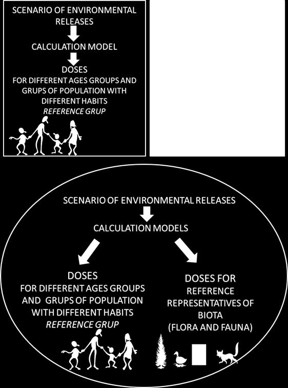 regarding the results of the latest advanced studies of tritium 3 H and carbon 14 C behaviour in the environment this will mainly apply to the lesser known natural environment (that is, wild-living