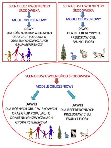 Rysunek 4. Schemat obrazujący zintegrowaną ocenę dawek dla człowieka oraz fauny i flory przy rutynowych uwolnieniach pierwiastków promieniotwórczych.