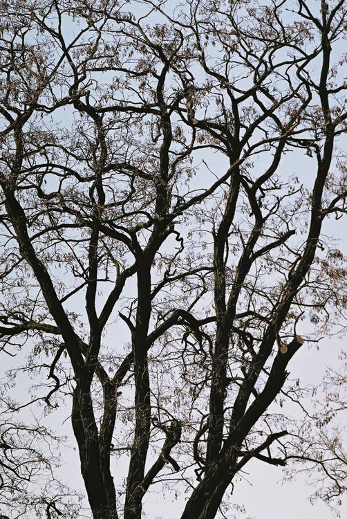 ompozycja w fotografii krajobrazu, cz. 3 - Linia, kształt i kolor Drugim sposobem wykorzystania linii jest użycie jej w strukturze graficznej obrazu.