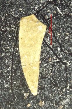 3. Fragments of the silver