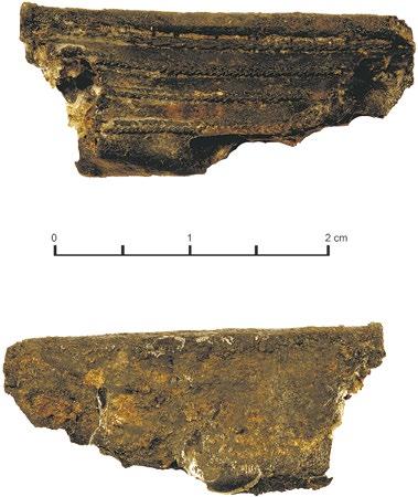 9. nr inw. 58/08. Fragment kaptorgi prostokątnej; srebro; filigran; wym.: 2,8 1,3 cm; waga 0,82 g (ryc.