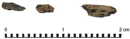 Ryc. 33. Fragment drewna z kaptorgi nr inw. 62/08 Fig. 33. A piece of wood from kaptorga inv. no. 62/08 Zawartość kaptorg oraz wypełnisko jamy grobowej poddano też analizom karpologicznym14.