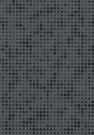 0 430829 dark grey LRV 12.