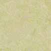 0 3407 donkey