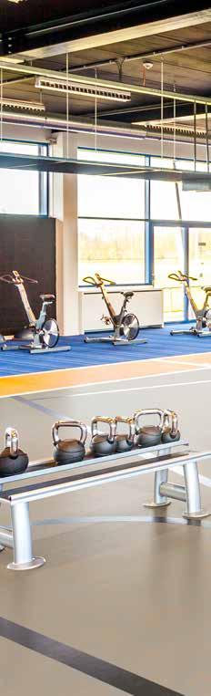 marmoleum sport move marmoleum sport Zastosowanie Marmoleum Sport znajduje zastosowanie jako pokrycie podłogowe do kilku rodzajów podłóg sportowych zgodnych z normą PN-EN 14904.