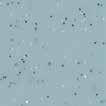0 40002 snow LRV