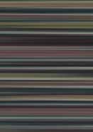 25cm LRV 10 a63694 100 x