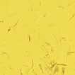 C68021 curry