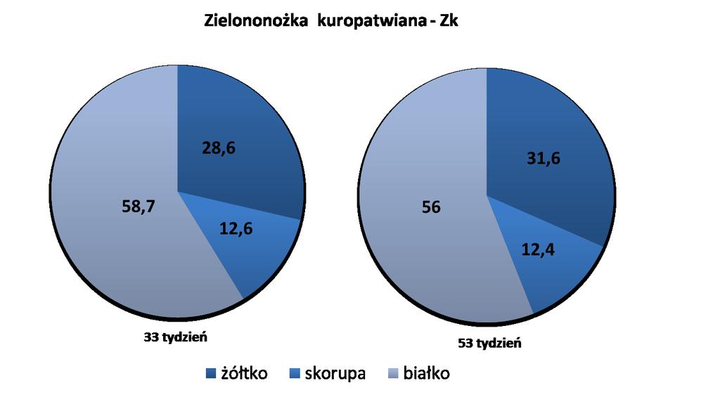 Strona14 Rycina 5.