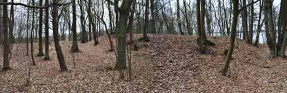 Grodzisko ma kształt koła o wymiarach około 40 x 40 m. W północnej i zachodniej części założenia wał stromo opada w stronę jeziora Jeziorak.