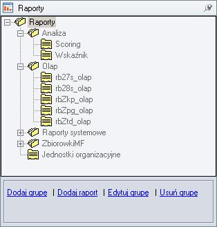 Rysunek 116. Drzewo Raporty w lewym oknie programu Praca w module przebiega w nieco odmienny sposób, aniżeli w pozostałych modułach programu.