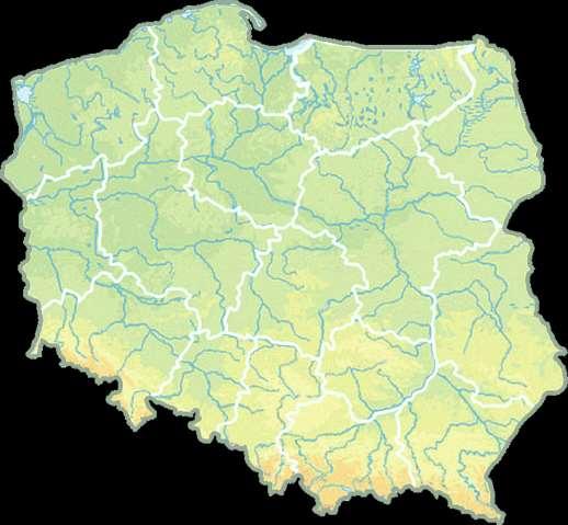 Dostępność w Polsce badań genetycznych genu TTR Asp38Val