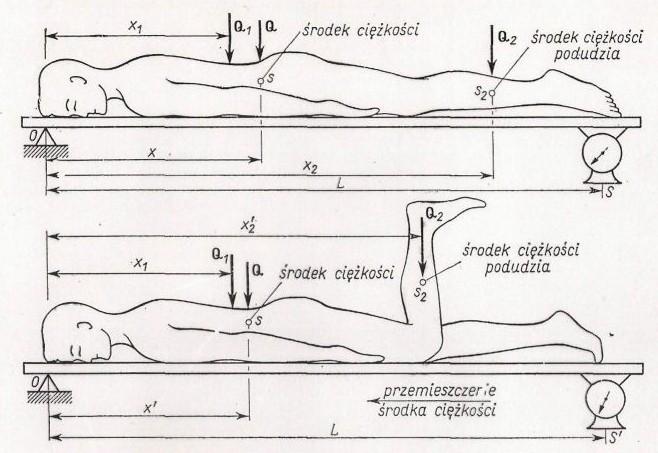Modele ciała człowieka Wyznaczanie środka ciężkości ciała: Znając położenie środka ciężkości segmentu ciała