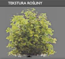Kryteria dotyczą: wysokości roślin, ph maksymalnego i minimalnego gleby dla danej rośliny, wilgotności maksymalnej i minimalnej odpowiedniej dla danej rośliny oraz nasłonecznienia maksymalnego i
