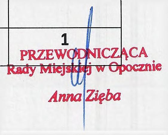 Gr z e s iń s ki Robert 6. Kopera Tomasz 7. Łuc z ka - Nita Jolanta 9. Pręcik ow s ki Jerzy 10. Ro ż en e k Andrzej 11. Rurarz Tomasz 12.